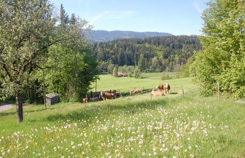 farm